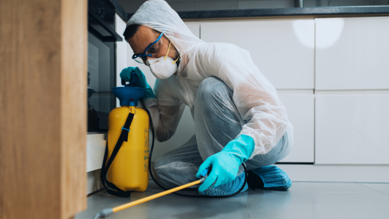 ¿Plagas en casa? ¡No te preocupes! Guía completa para un hogar libre de intrusos