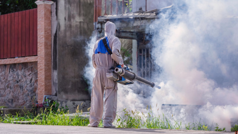 Mitos y verdades sobre la fumigación: Despeja tus dudas con nuestros expertos